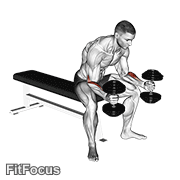 Dumbbell Seated Neutral Wrist Curl GIF