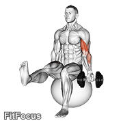Dumbbell Seated One Arm Bicep Curl On Exercise Ball With Leg Raised GIF