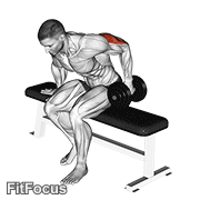 Dumbbell Seated One Arm Kickback GIF