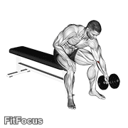 Dumbbell Seated One Arm Rotate GIF