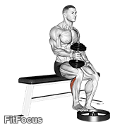 Dumbbell Seated One Leg Calf Raise - Hammer Grip GIF