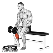 Dumbbell Seated One Leg Calf Raise - Palm Up GIF