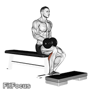 Dumbbell Seated One Leg Calf Raise GIF