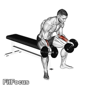 Dumbbell Seated Palms Up Wrist Curl GIF