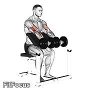 Dumbbell Seated Preacher Curl GIF