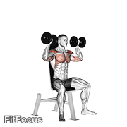 Dumbbell Seated Shoulder Press GIF