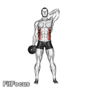 Dumbbell Side Bend GIF