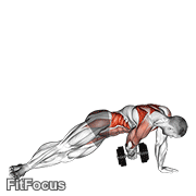 Dumbbell Side Plank With Rear Fly GIF
