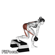 Dumbbell Single Leg Deadlift With Stepbox Support GIF