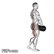 Dumbbell Single Leg Deadlift (single leg dumbbell deadlift) GIF — animated legs exercise demonstration