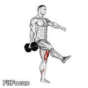 Dumbbell Single Leg Squat GIF