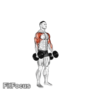 Dumbbell Standing Alternate Hammer Curl And Press GIF