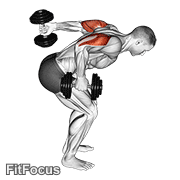 Dumbbell Standing Alternating Tricep Kickback GIF