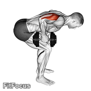 Dumbbell Standing Bent Over One Arm Triceps Extension GIF
