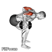 Dumbbell Standing Bent Over Two Arm Triceps Extension GIF
