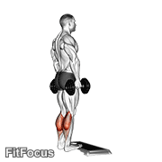 Dumbbell Standing Calf Raise GIF