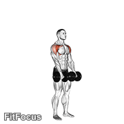Dumbbell Standing Front Raise Above Head GIF