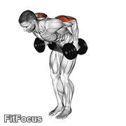 Dumbbell Standing Kickback (standing dumbbell kickback) GIF — animated arms exercise demonstration