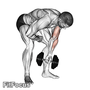 Dumbbell Standing One Arm Concentration Curl GIF
