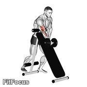 Dumbbell Standing One Arm Curl Over Incline Bench GIF