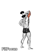 Dumbbell Standing One Arm Extension GIF