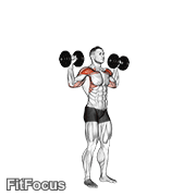 Dumbbell Standing Overhead Press GIF