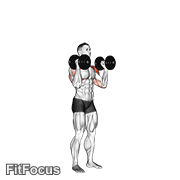 Dumbbell Standing Palms In Press GIF