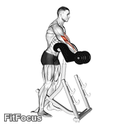 Dumbbell Standing Preacher Curl GIF