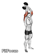 Dumbbell Standing Triceps Extension GIF