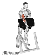 Dumbbell Standing Zottman Preacher Curl GIF