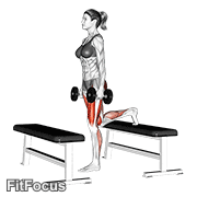 Dumbbell Step-up Lunge GIF
