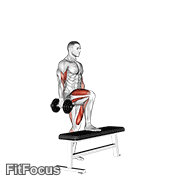 Dumbbell Step Up Single Leg Balance With Bicep Curl GIF