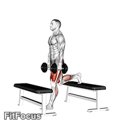 Dumbbell Step-up Split Squat GIF