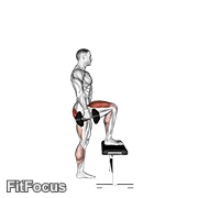 Dumbbell Step-up GIF