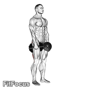 Dumbbell Stiff Leg Deadlift GIF