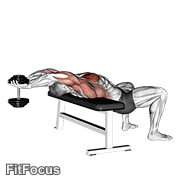 Dumbbell Straight Arm Pullover GIF