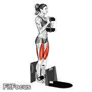 Dumbbell Supported Squat animated form demonstration