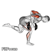 Dumbbell Tricep Kickback With Stork Stance GIF