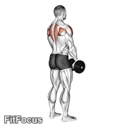 Dumbbell Upright Row (back POV) GIF