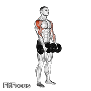 Dumbbell Upright Row GIF