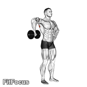 Dumbbell Upright Shoulder External Rotation