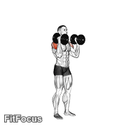 Dumbbell W-press GIF