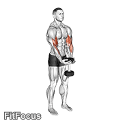 Dumbbell Waiter Biceps Curl GIF