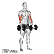 Dumbbell Zottman Curl GIF