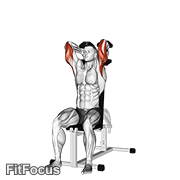 Dumbbells Seated Triceps Extension GIF