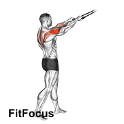 Band Standing Rear Delt Row