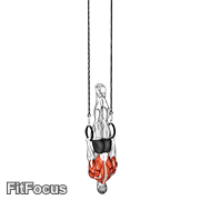 Elevator exercise GIF demonstration