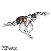 Exercise Ball Alternating Arm Ups GIF