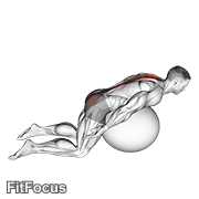 Exercise Ball Back Extension With Arms Extended GIF