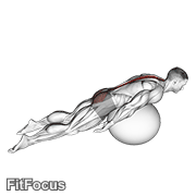 Exercise Ball Back Extension With Knees Off Ground GIF